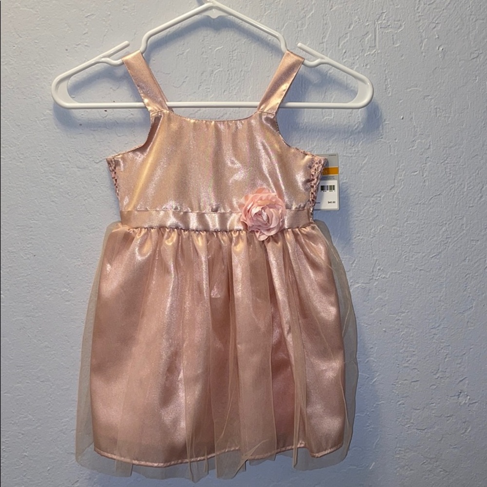 Carter’s pink / rose gold dress.